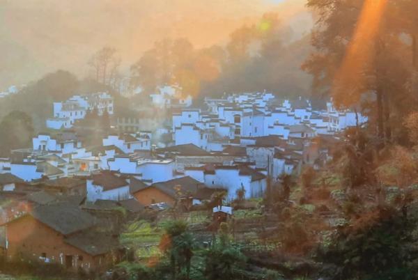 今日霜降节气注意事项,今日霜降一转眼已是深秋