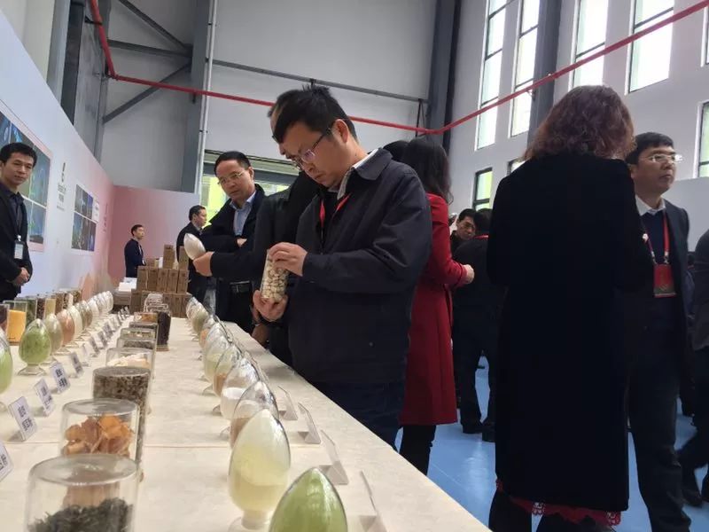 抓党建促乡村振兴现场会交流发言,迎接重点项目观摩推进会上的讲话