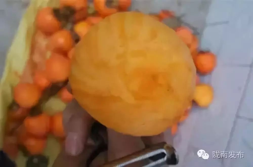 刚刚好!陇南的柿子红了,“柿”不可挡~