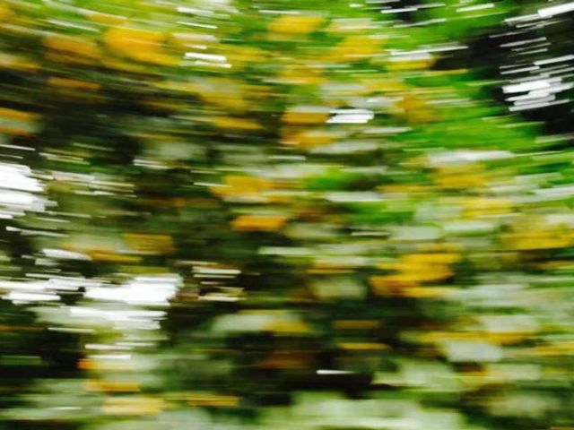 清新淡雅的桂花香水,最还原桂花香味的香水