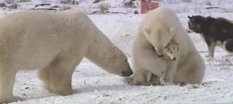 1月24日每天3分钟尽览天下事（春节期间郑州限行规则出炉/*花爆烟竹**郑州各县区全禁）