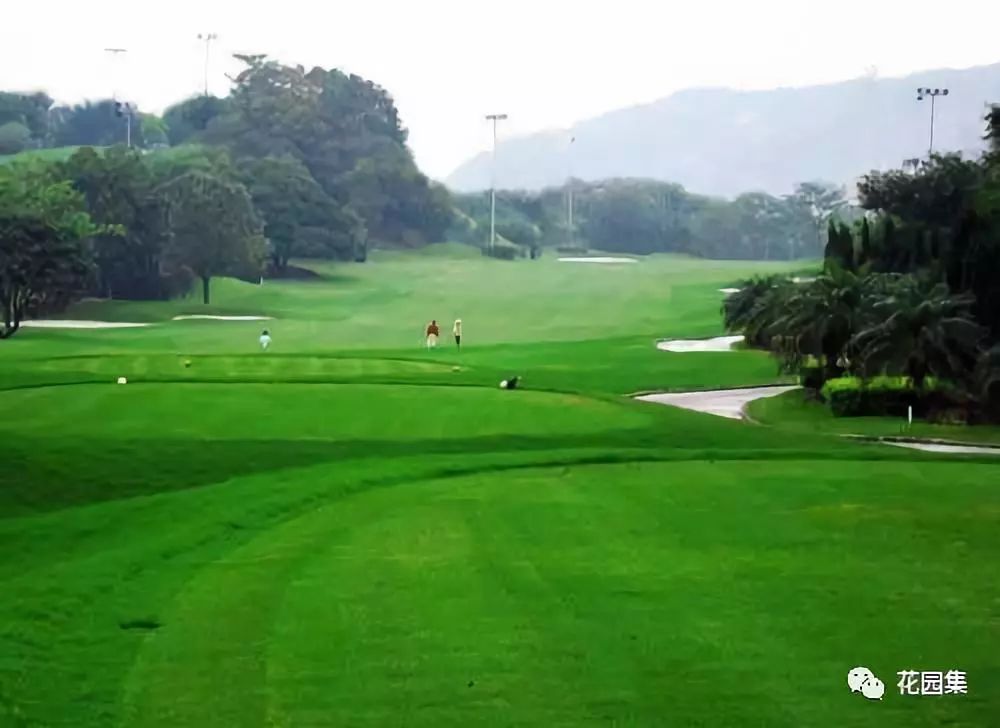 苏州人造草坪运动场养护服务,公园草坪怎么养护效果最好