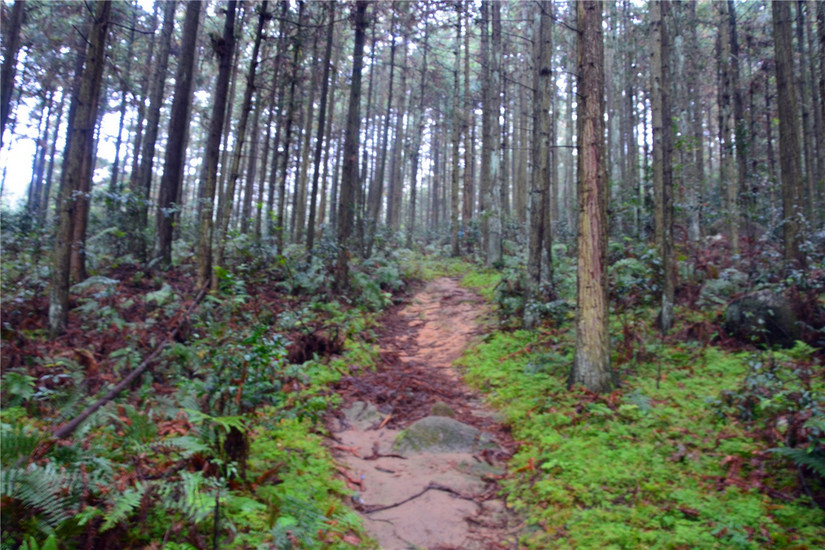 十大非著名山峰,湖南十大非著名山峰