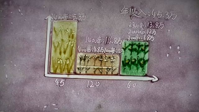 春雨mc100h收割机一天能收多少亩,春雨mc80收割机