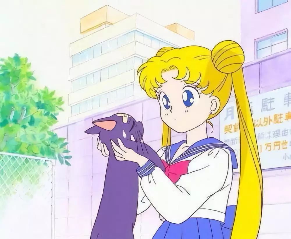 日本人和猫的关系,为什么日本人这么喜欢女生