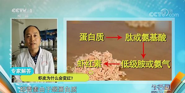 冻虾呈蓝色绿色能吃吗,冻虾变蓝绿色还能吃吗