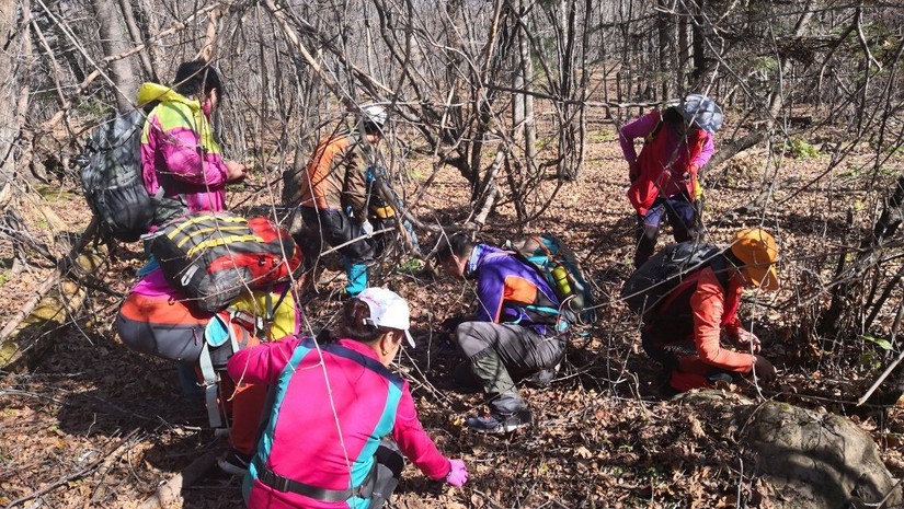 汪清直播外景,汪清户外直播