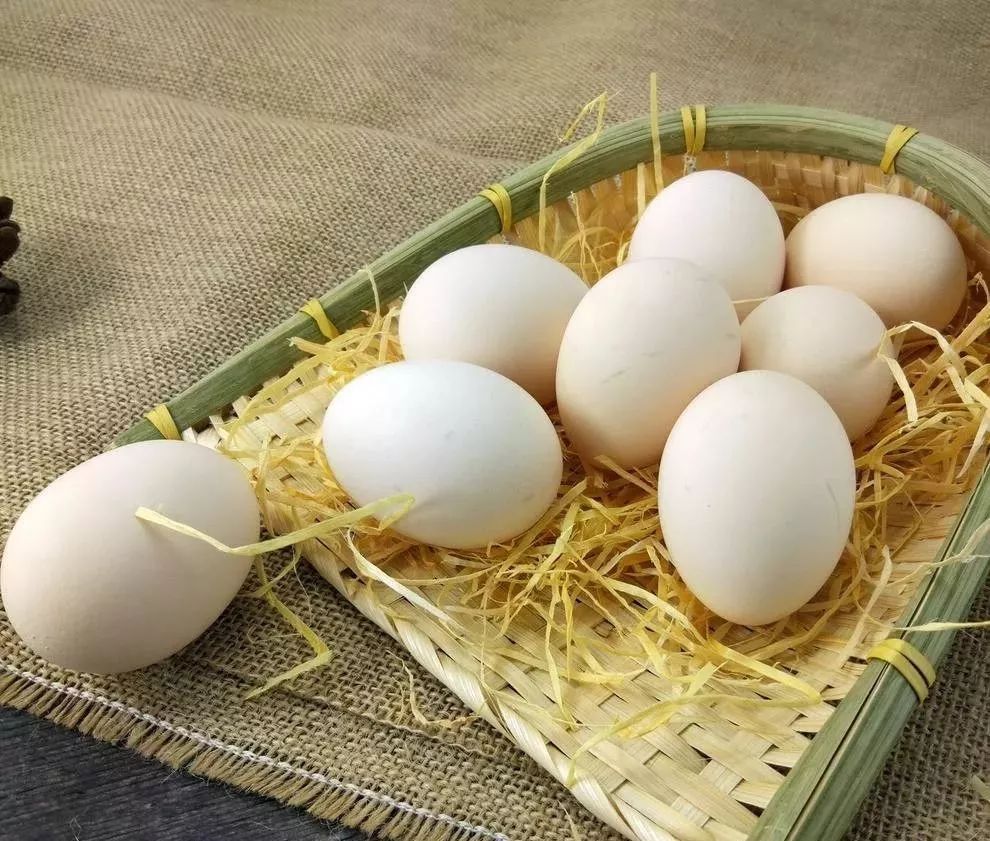 没有食物能防癌10条谣言,酵素能抗癌防癌吗