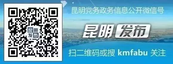 上半年经济指标完成情况通报,上半年经济呈现稳步向好发展