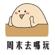 周末游玩银杏林,周末去哪里看银杏叶好