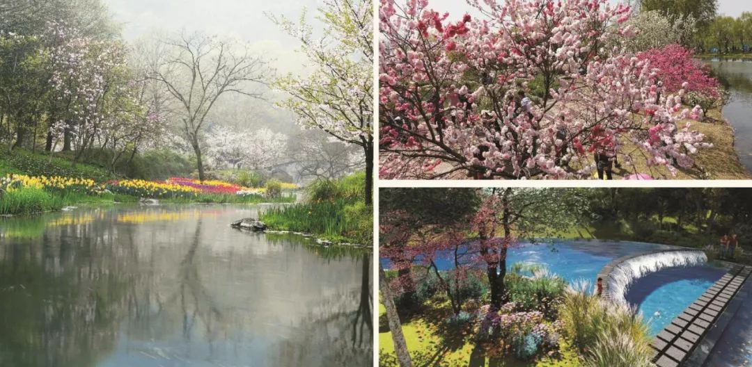 潍坊温泉乐园,潍坊度假小镇