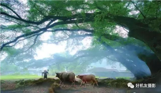 手机摄影制作创作灵感,手机摄影制作实操