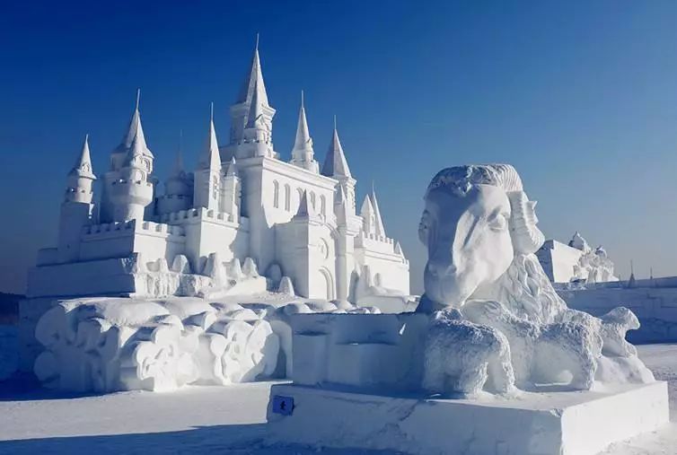 刘烨旅游,刘烨一家四口出游