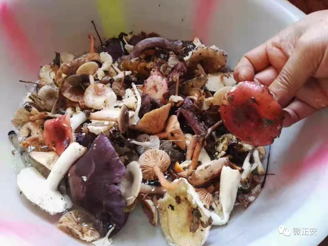 上班得了高血压还继续坚持吗,站着上班可以治疗高血压吗