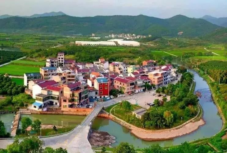 义乌周边这个季节最值得去的地方,义乌必去的打卡地