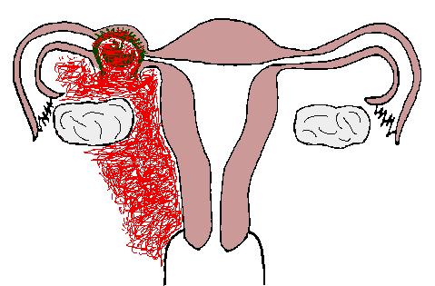 黑心医生忽悠病人全部视频,黄绿医生事件