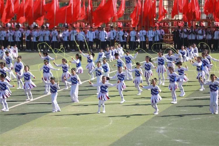 大荔中小学运动会开幕式,大荔县2016年第十四届运动会