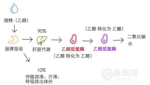 女主播吃头孢后果,女主播吃20颗头孢