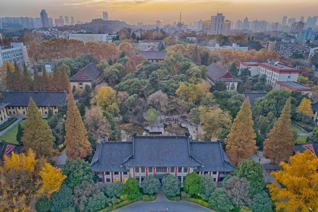 南京最美赏秋地点,南京赏秋之旅