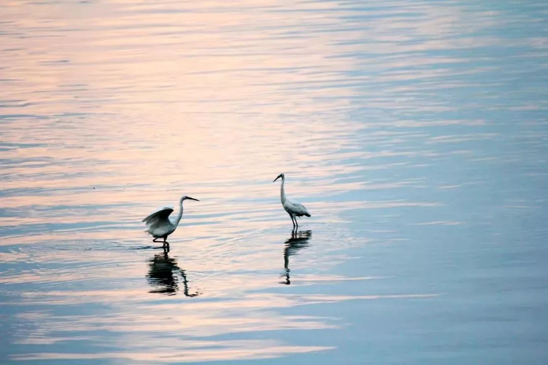 最容易错的常见的成语,50个常考常错的成语