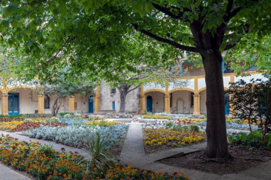 关于梵高名画,有关梵高的画