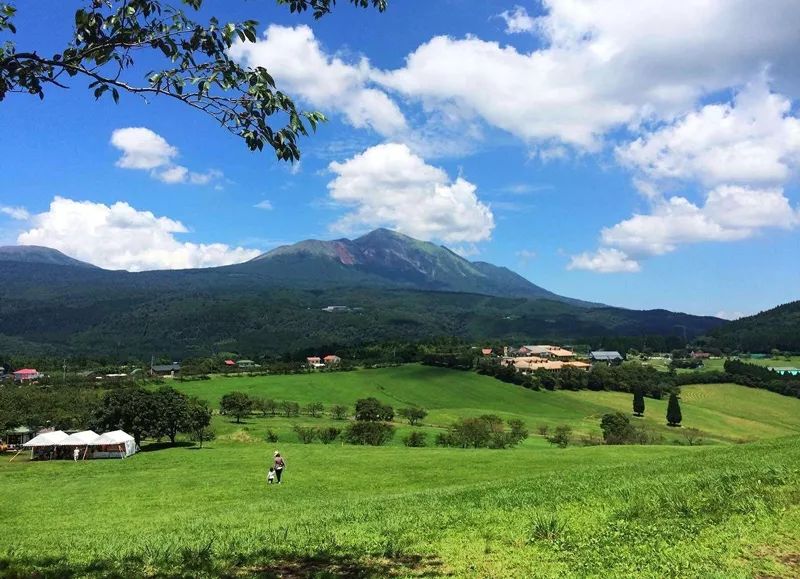 拼团丨这个面膜征服了全日本，敷一次脸能亮白两个度