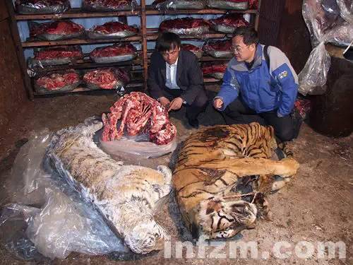 瑙ｇ閲庣敓鍔ㄧ墿,閲庣敓鍔ㄧ墿瑙ｇ