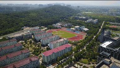 南信大学食堂吃饭,南信大食堂的饭