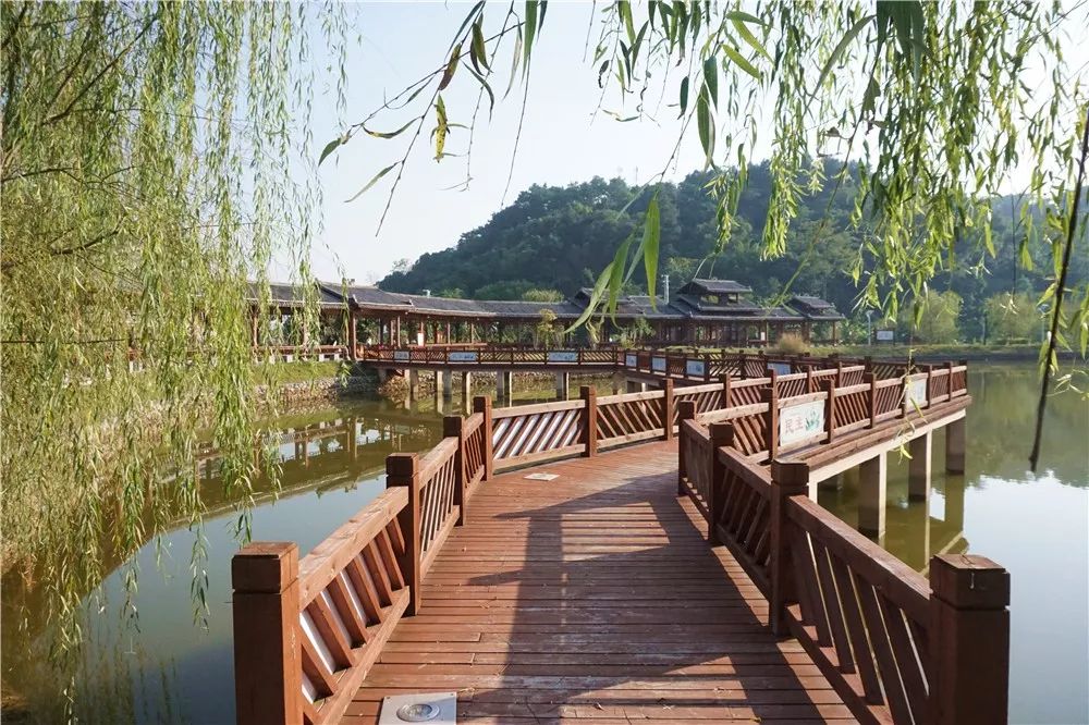 广西在别人眼中是什么样子的,南宁在广西人眼里