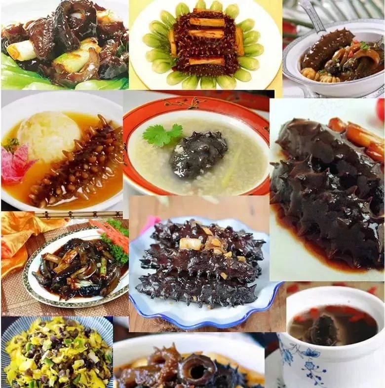 神奇的海参!女人不老、男人不虚,延年益寿,现在知道还不晚……