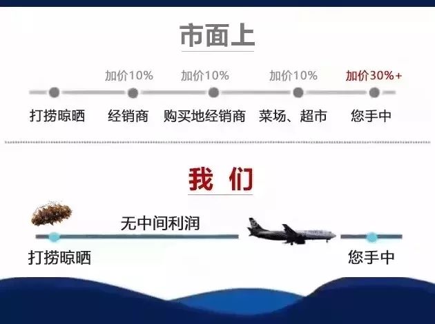 神奇的海参!女人不老、男人不虚,延年益寿,现在知道还不晚……