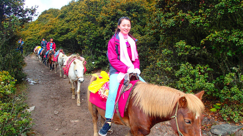 留下的是辉煌带走的是荒凉,带走的是经历留下的是回忆