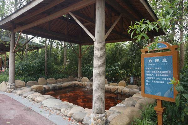 松江区比较好的酒店,上海松江高档温泉酒店