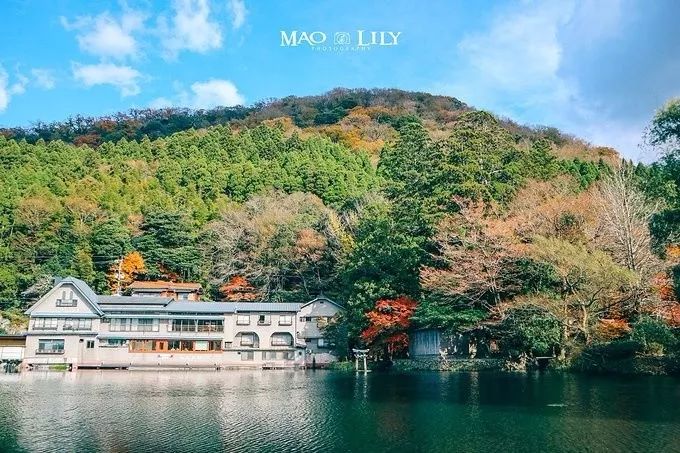 日本九州的宝藏,日本大量宝藏被发现