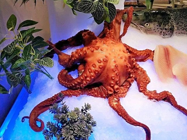 长春市南关区带温泉的洗浴中心,长春市温泉自助餐都有哪些