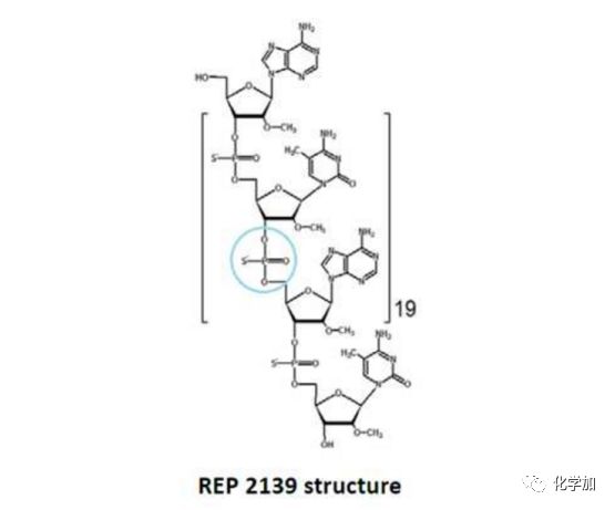 一文看懂乙肝病毒,一文读懂肝钙化灶