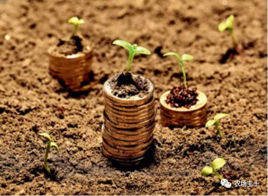 土地流转只是少数人的盛宴，大多数人都亏得惨不忍睹？！