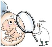 申报和实施妇女儿童实事项目,妇女儿童特色项目