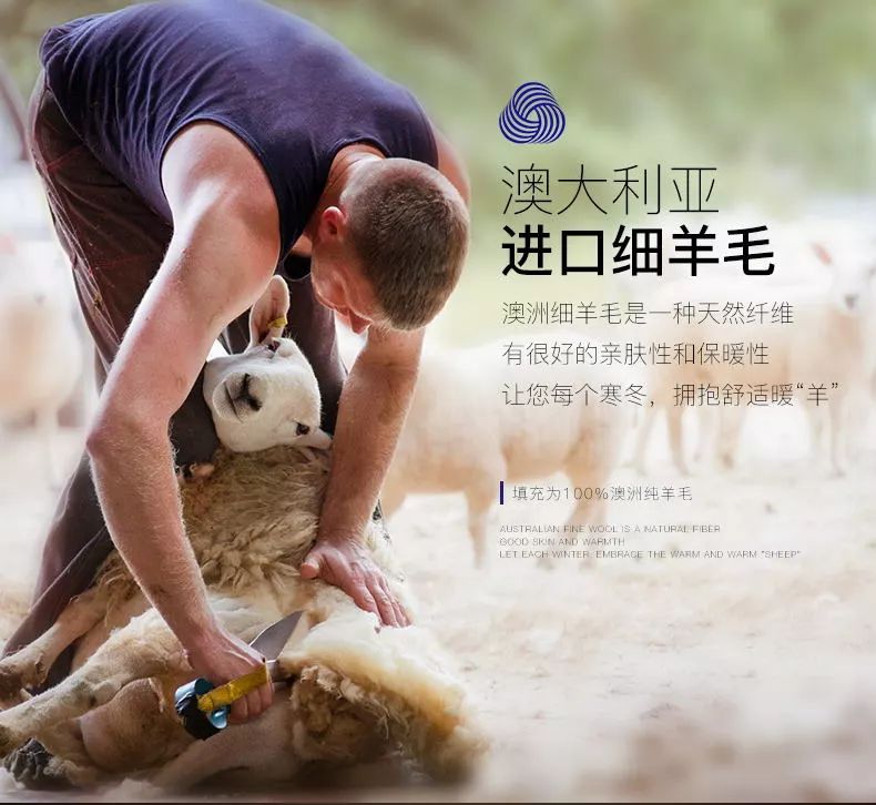 双11直降|100%澳洲进口细羊毛,防尘抗螨,吸湿排汗,每天都像睡在云朵里