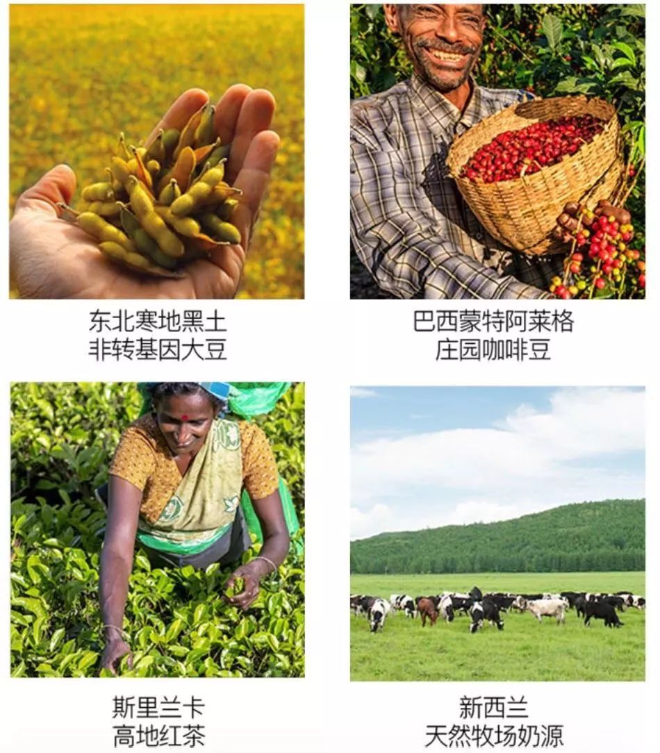 买了这些的人冬天都不需要暖气