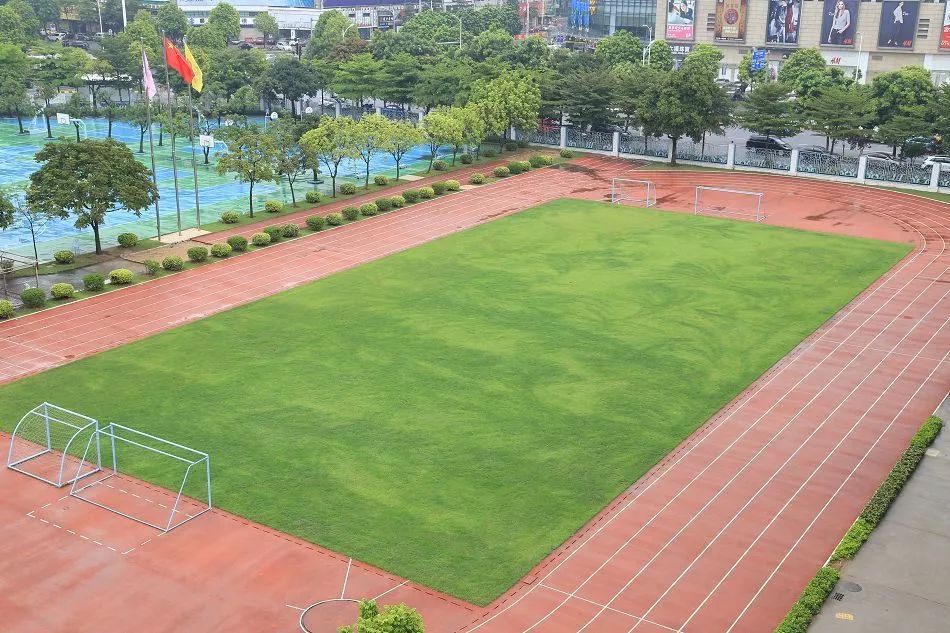 佛山最受家长欢迎的小学TOP5，你的学校上榜了吗？