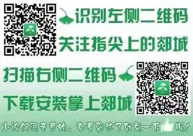 育才小学市长杯冠军,育才夺冠