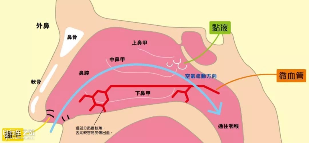 骑车流鼻涕,骑车流鼻涕是怎么回事