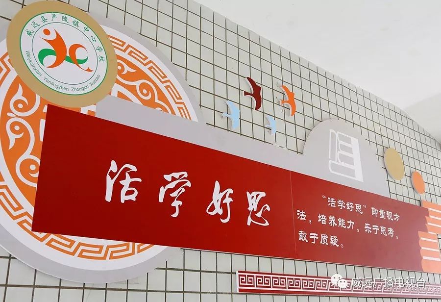 严陵镇中心校,严陵镇中心校及所属校园