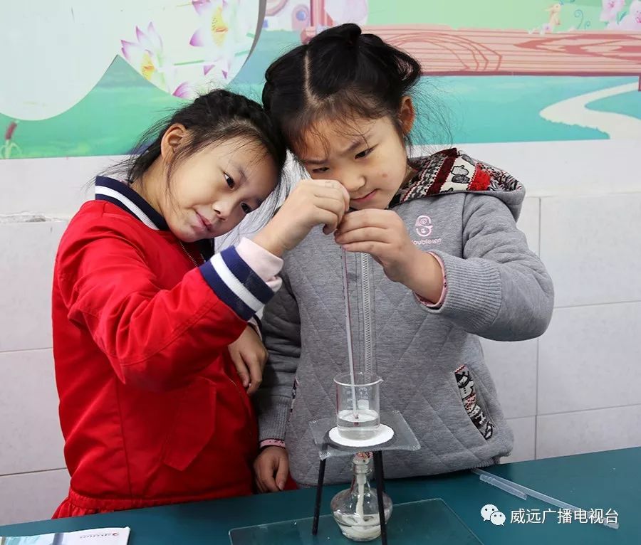 严陵镇中心校,严陵镇中心校及所属校园