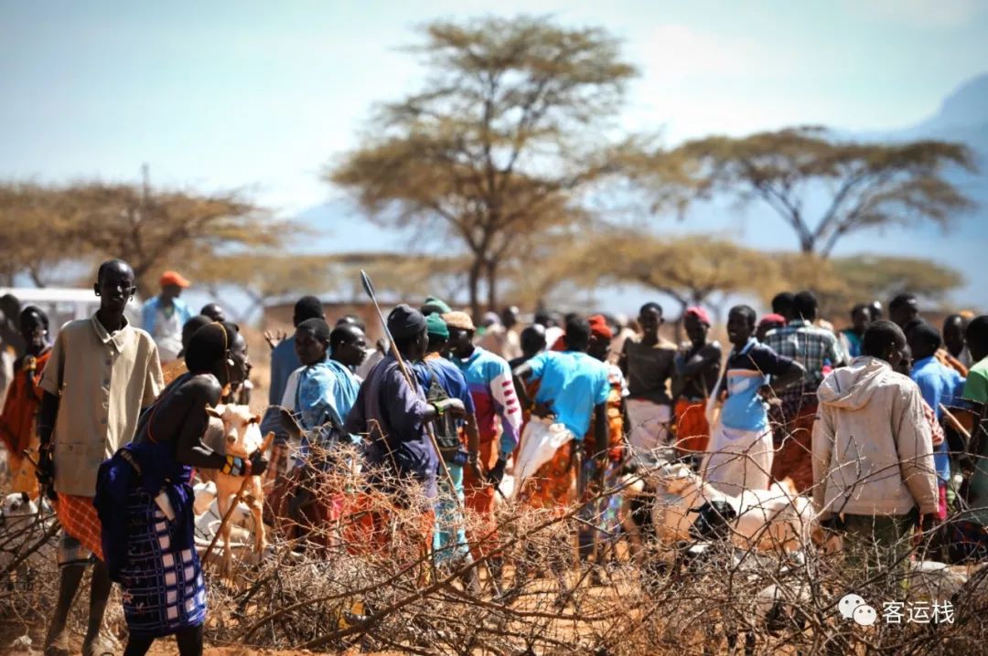 桑布鲁荒野里，我们的主要食物是奶和血｜会玩