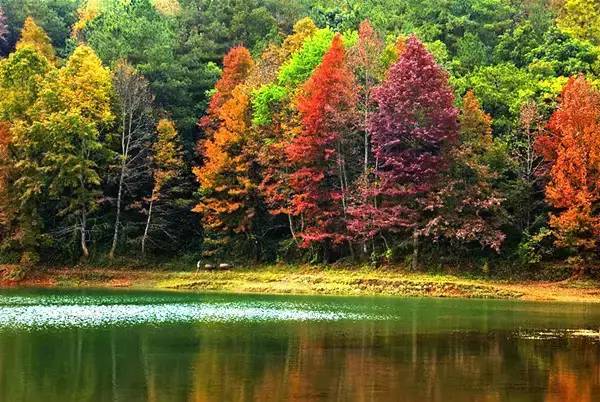 行遍天下广西美景,广西最美的风景打卡地