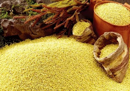 名老中医治疗颈动脉粥样硬化案例,王清海治阳虚冠心病