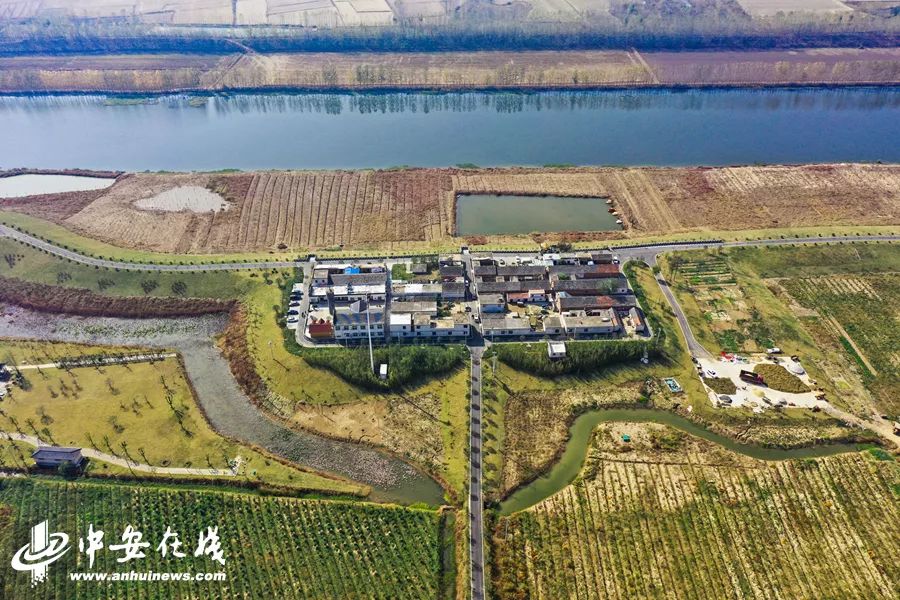 颍上庄台变身记：“穷洼地”逆袭成为“绿富美”