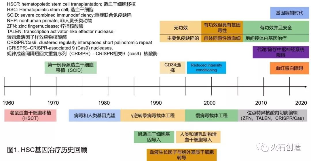 走近科学生物细胞免疫疗法,中国基因治疗回顾和展望